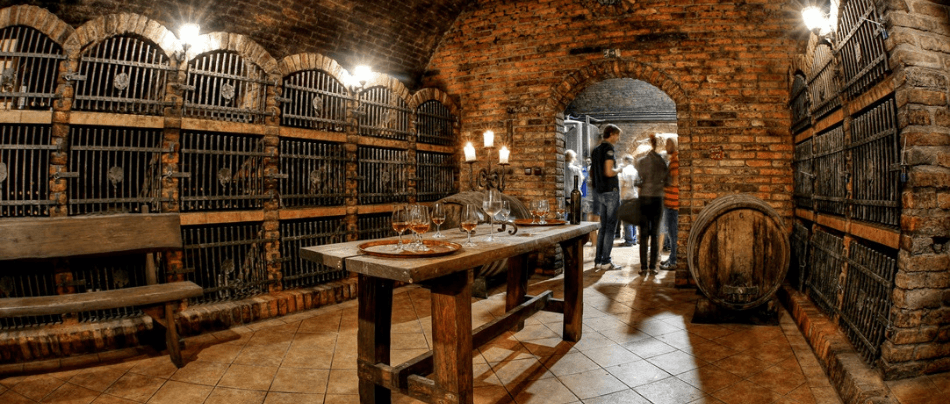 Vinařská turistika